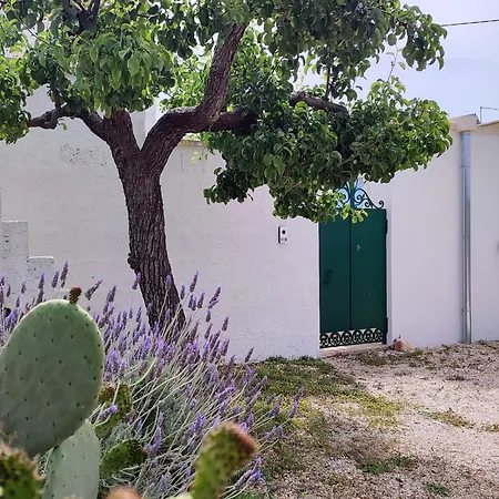 La Lamiodda Locorotondo